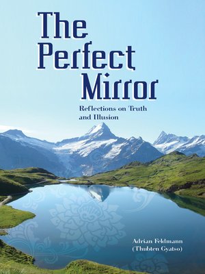 cover image of The Perfect Mirror